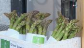 Maibock trifft Spargel