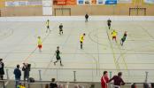 Promente Austria Cup 2017