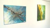 Vernissage Ewald Radlmüller Schlossgalerie Steyr